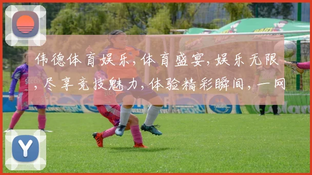 伟德体育娱乐,体育盛宴,娱乐无限,尽享竞技魅力,体验精彩瞬间,一网打尽