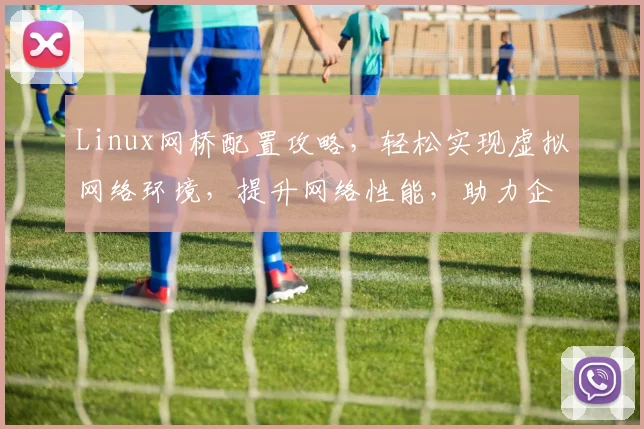 Linux网桥配置攻略，轻松实现虚拟网络环境，提升网络性能，助力企业高效运维。