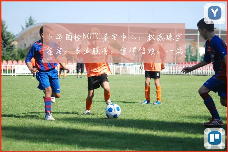 上海国检NGTC鉴定中心，权威珠宝鉴定，专业服务，值得信赖，一站式解决方案。