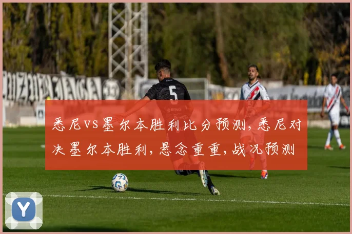 悉尼vs墨尔本胜利比分预测,悉尼对决墨尔本胜利,悬念重重,战况预测一触即发,谁将问鼎