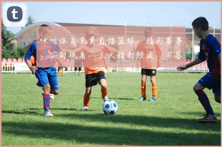 咪咕体育免费直播篮球，精彩赛事，实时观看，三大精彩频道，不容错过，尽在咪咕
