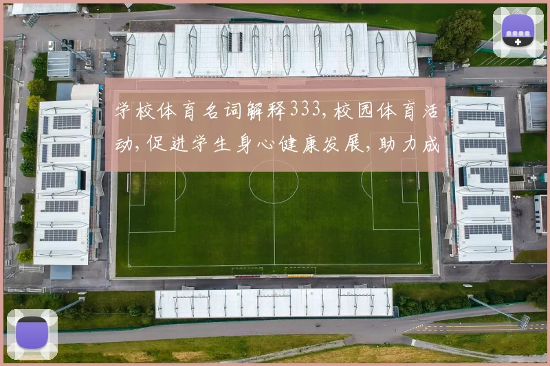 学校体育名词解释333,校园体育活动,促进学生身心健康发展,助力成长之路